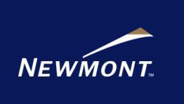 Logo newmont suriname